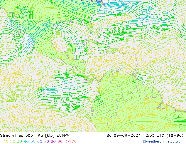 Linha de corrente 300 hPa ECMWF Dom 09.06.2024 12 UTC