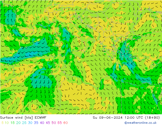 Surface wind ECMWF Su 09.06.2024 12 UTC