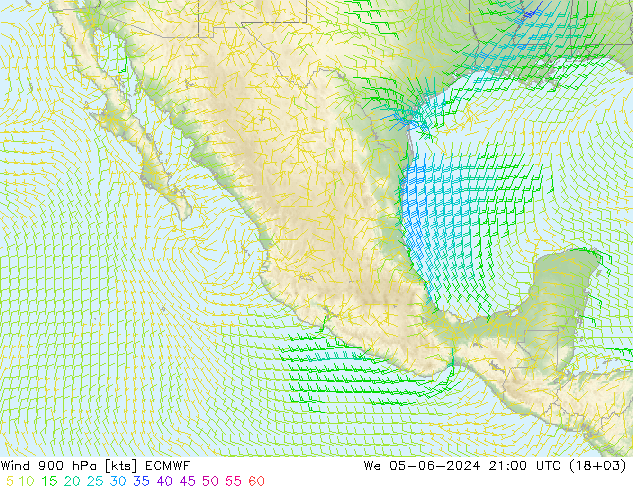  900 hPa ECMWF  05.06.2024 21 UTC