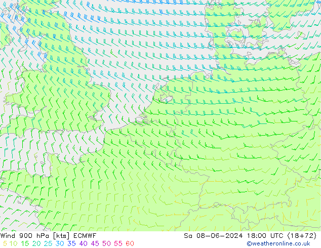 Wind 900 hPa ECMWF Sa 08.06.2024 18 UTC