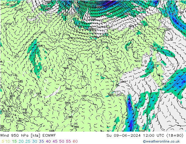 Wind 950 hPa ECMWF zo 09.06.2024 12 UTC