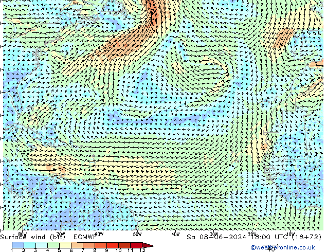 wiatr 10 m (bft) ECMWF so. 08.06.2024 18 UTC