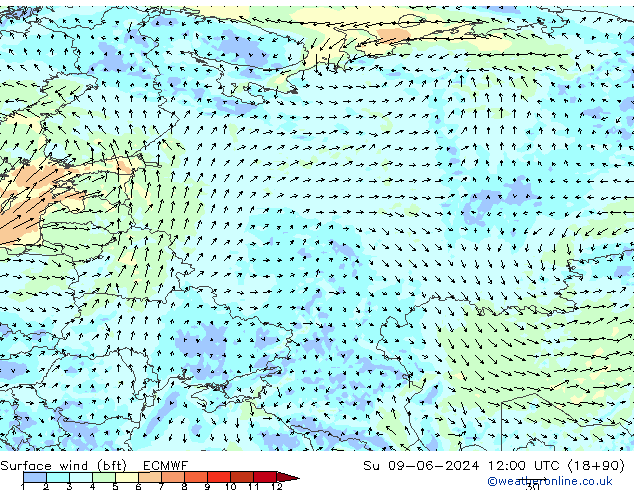 Surface wind (bft) ECMWF Ne 09.06.2024 12 UTC