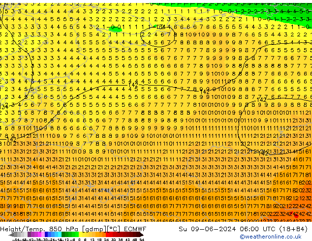 Z500/Rain (+SLP)/Z850 ECMWF Su 09.06.2024 06 UTC