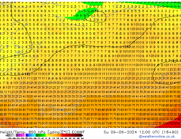 Height/Temp. 850 гПа ECMWF Вс 09.06.2024 12 UTC