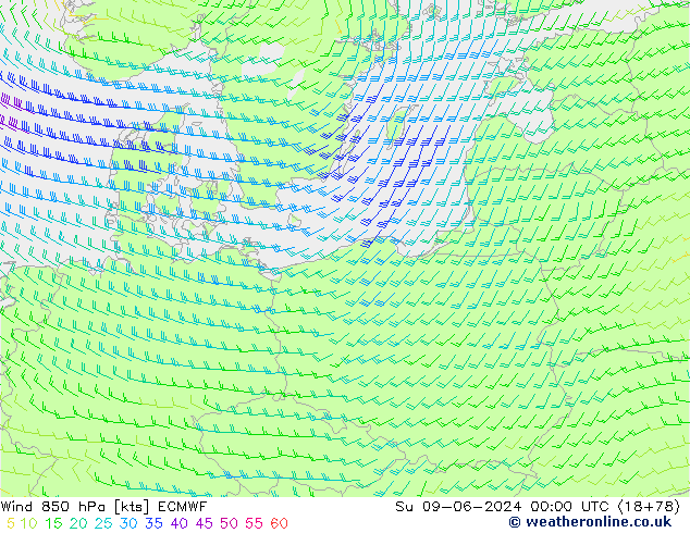  850 hPa ECMWF  09.06.2024 00 UTC