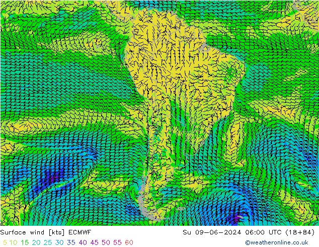 Surface wind ECMWF Su 09.06.2024 06 UTC