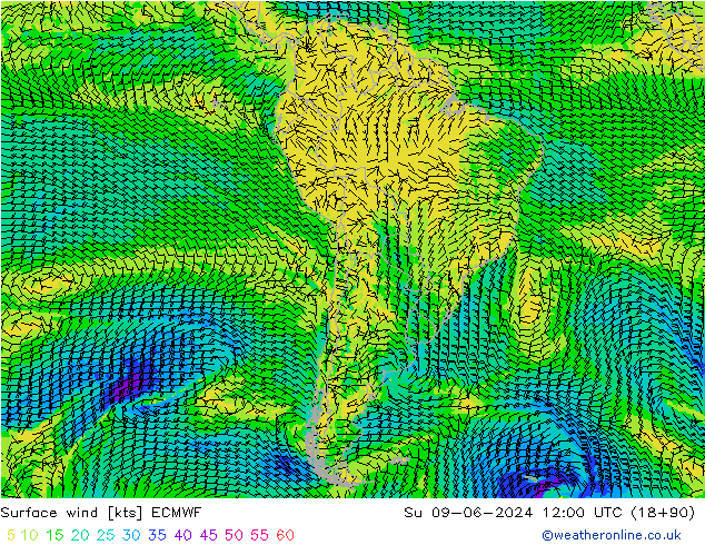 Surface wind ECMWF Su 09.06.2024 12 UTC