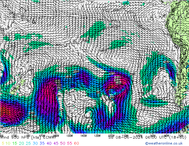 wiatr 950 hPa ECMWF so. 08.06.2024 06 UTC