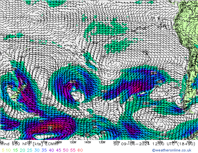 ветер 950 гПа ECMWF Вс 09.06.2024 12 UTC