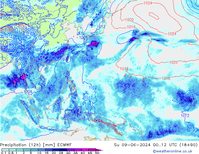 Precipitation (12h) ECMWF Su 09.06.2024 12 UTC