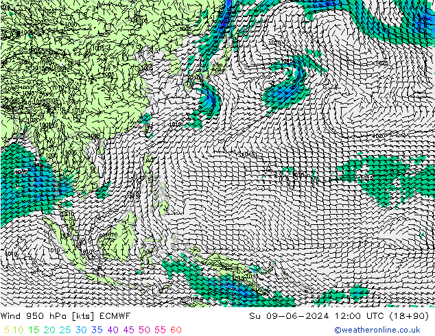 ветер 950 гПа ECMWF Вс 09.06.2024 12 UTC