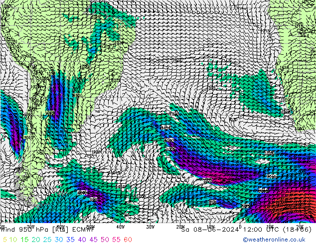 Wind 950 hPa ECMWF Sa 08.06.2024 12 UTC