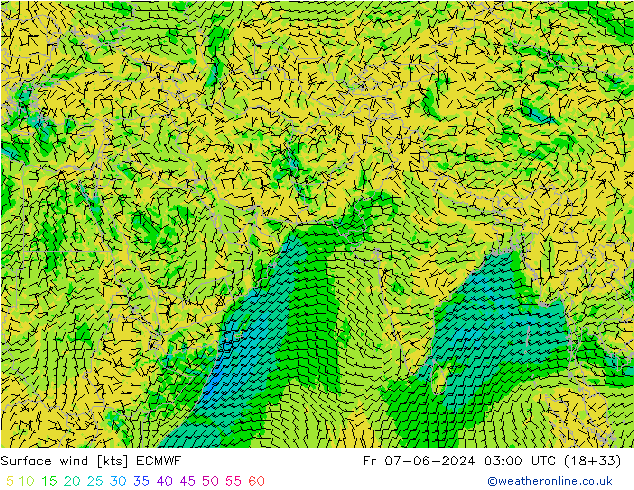 Surface wind ECMWF Fr 07.06.2024 03 UTC