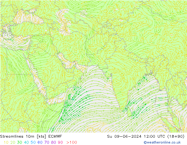 Rüzgar 10m ECMWF Paz 09.06.2024 12 UTC