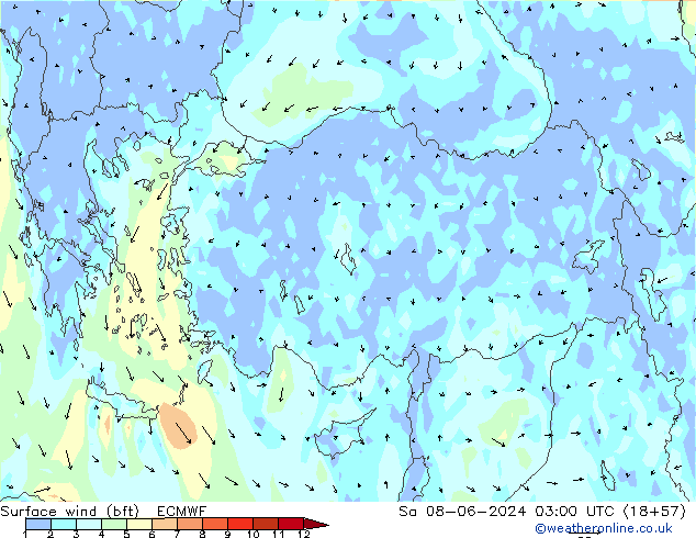 wiatr 10 m (bft) ECMWF so. 08.06.2024 03 UTC