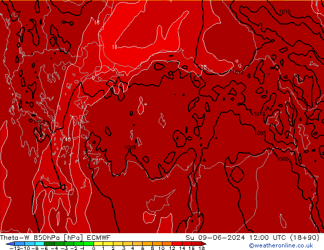 Theta-W 850hPa ECMWF zo 09.06.2024 12 UTC