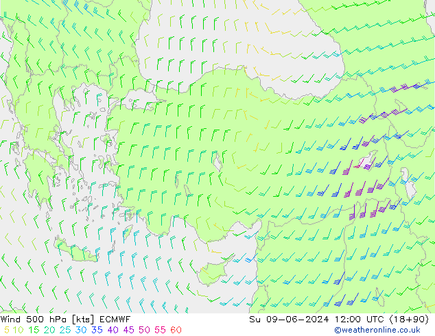  500 hPa ECMWF  09.06.2024 12 UTC