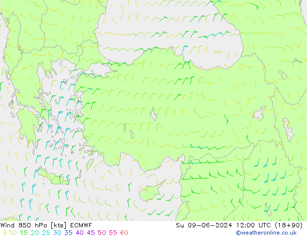 Viento 850 hPa ECMWF dom 09.06.2024 12 UTC