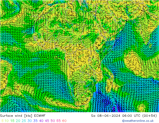 Surface wind ECMWF So 08.06.2024 06 UTC