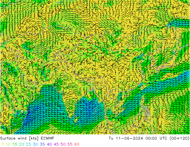 Surface wind ECMWF Tu 11.06.2024 00 UTC