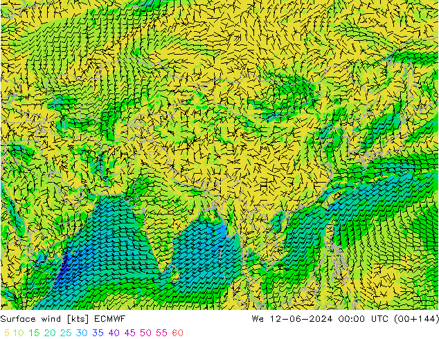 Vento 10 m ECMWF Qua 12.06.2024 00 UTC