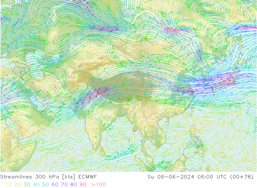 Línea de corriente 300 hPa ECMWF dom 09.06.2024 06 UTC