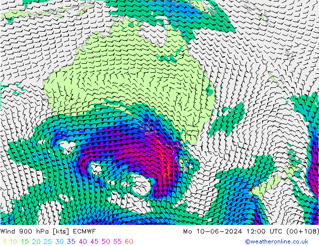 Wind 900 hPa ECMWF ma 10.06.2024 12 UTC