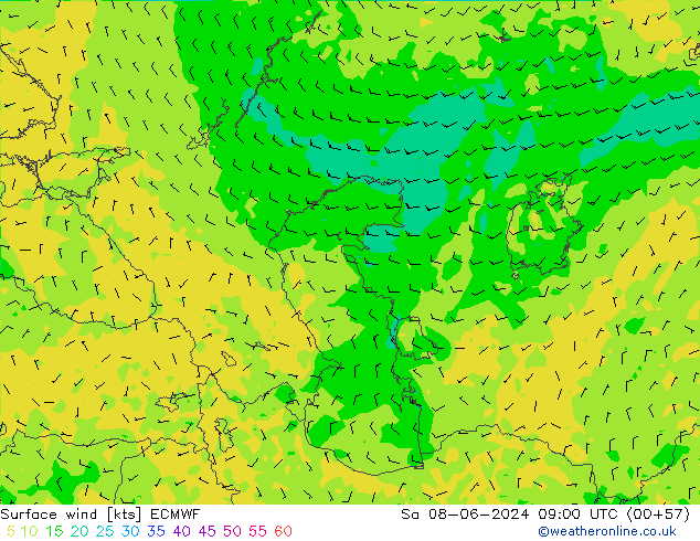 wiatr 10 m ECMWF so. 08.06.2024 09 UTC