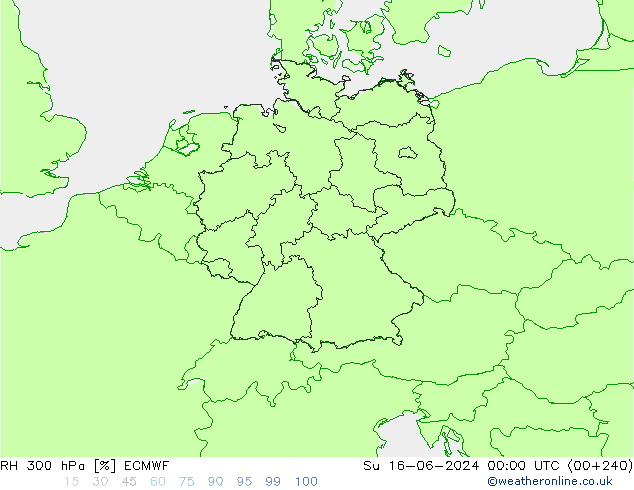 RH 300 hPa ECMWF Su 16.06.2024 00 UTC