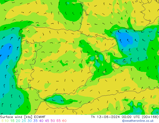 Vento 10 m ECMWF gio 13.06.2024 00 UTC