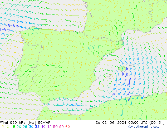 ветер 950 гПа ECMWF сб 08.06.2024 03 UTC