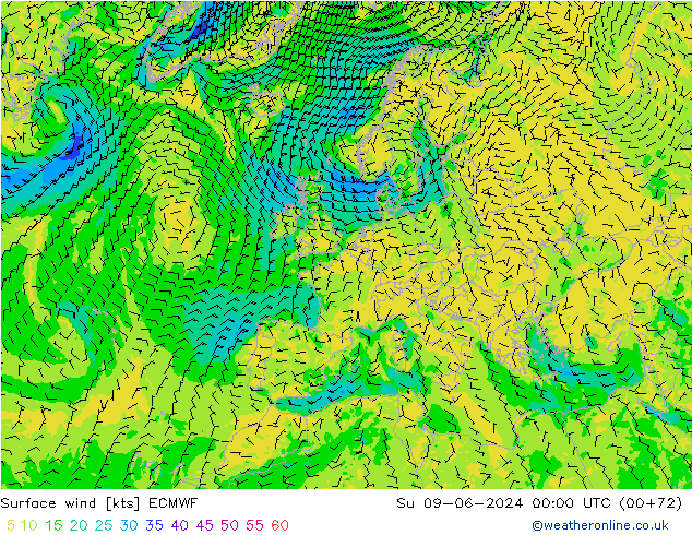 Surface wind ECMWF Ne 09.06.2024 00 UTC