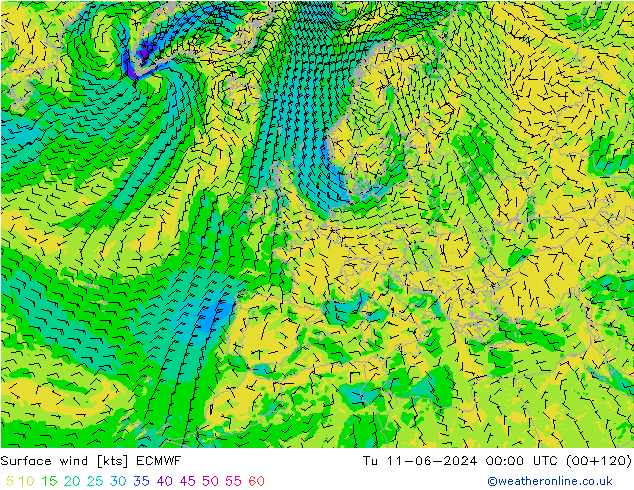 Surface wind ECMWF Tu 11.06.2024 00 UTC