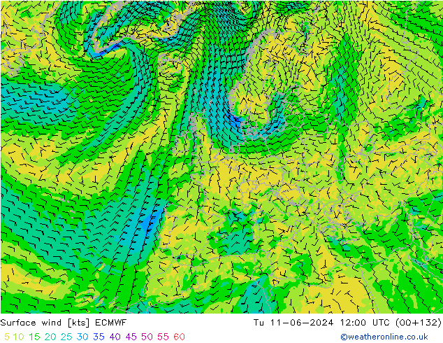 Wind 10 m ECMWF di 11.06.2024 12 UTC