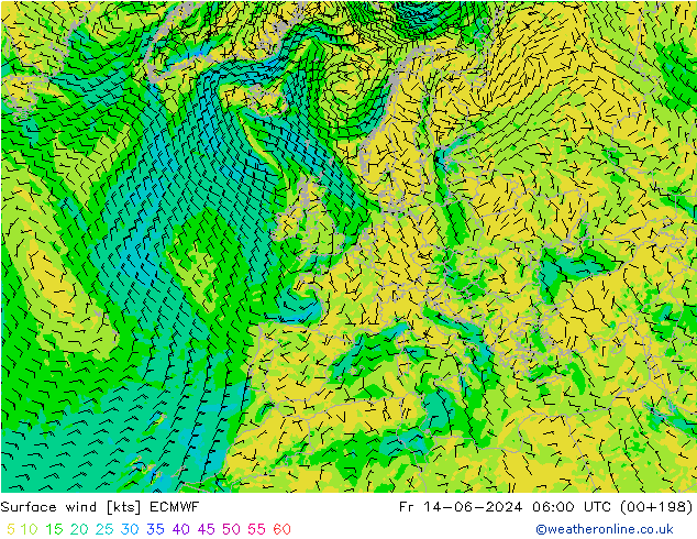 Vento 10 m ECMWF ven 14.06.2024 06 UTC