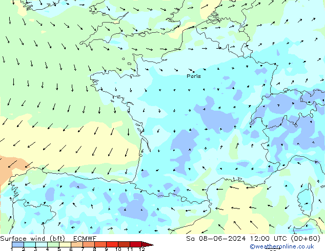 Surface wind (bft) ECMWF Sa 08.06.2024 12 UTC