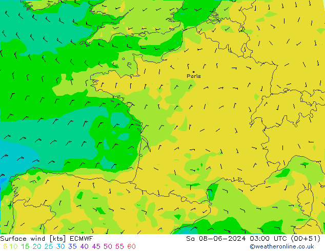 Vent 10 m ECMWF sam 08.06.2024 03 UTC