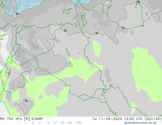 RV 700 hPa ECMWF di 11.06.2024 12 UTC