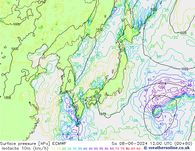 Isotachs (kph) ECMWF sam 08.06.2024 12 UTC