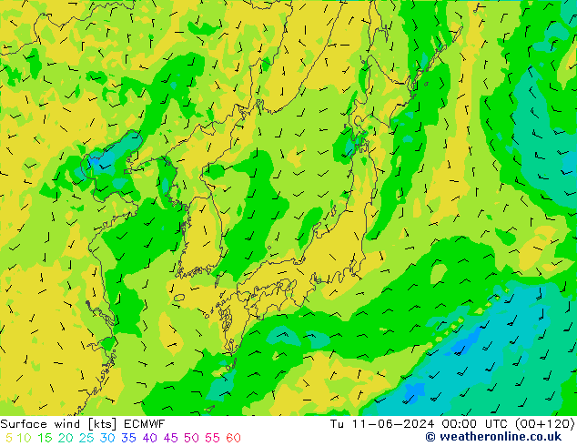 Rüzgar 10 m ECMWF Sa 11.06.2024 00 UTC