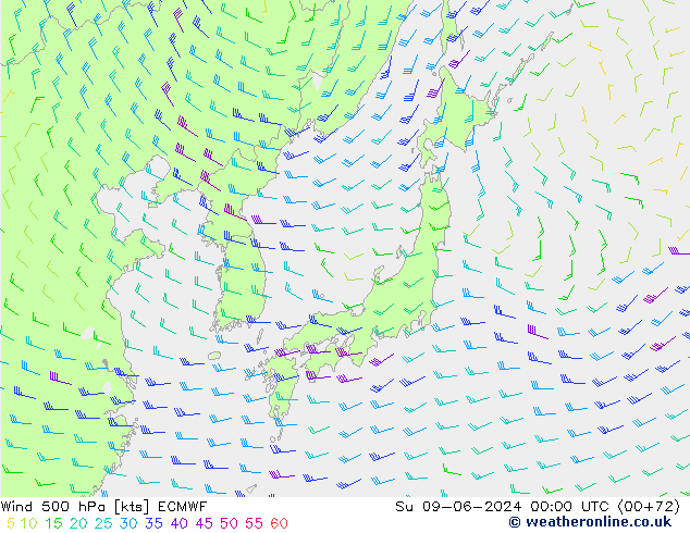 Vento 500 hPa ECMWF Dom 09.06.2024 00 UTC