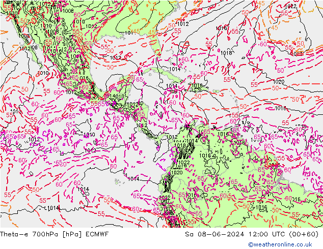 Theta-e 700hPa ECMWF sam 08.06.2024 12 UTC