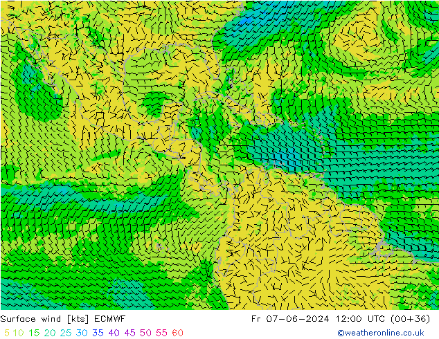 Surface wind ECMWF Fr 07.06.2024 12 UTC