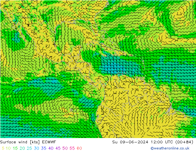 Vento 10 m ECMWF dom 09.06.2024 12 UTC