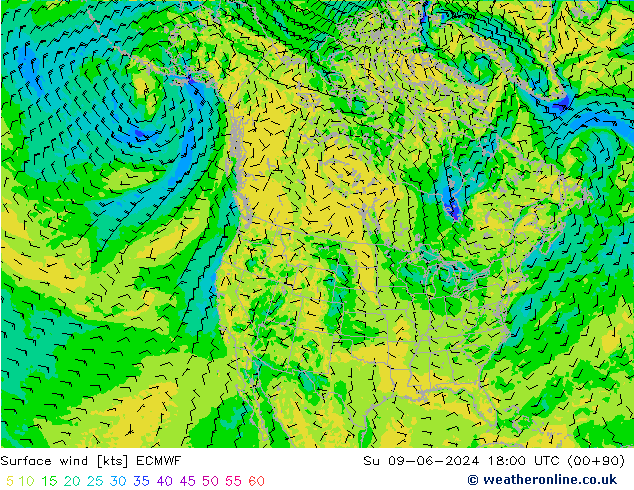 Vento 10 m ECMWF Dom 09.06.2024 18 UTC