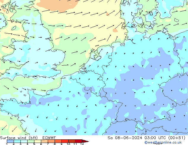 Surface wind (bft) ECMWF So 08.06.2024 03 UTC