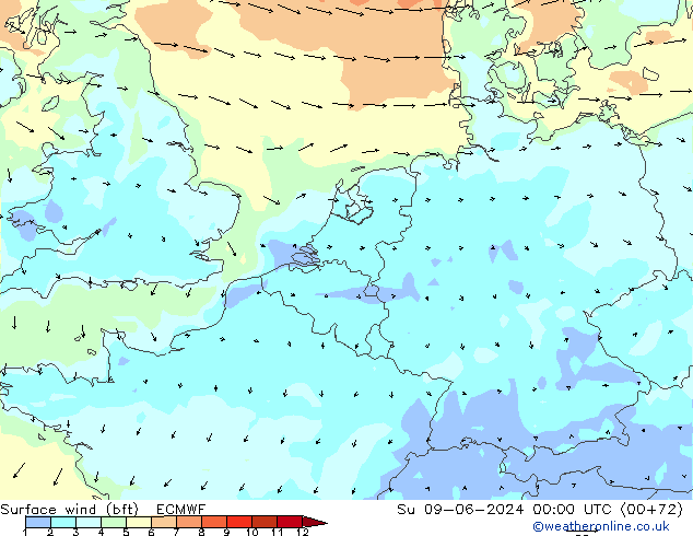 Surface wind (bft) ECMWF Su 09.06.2024 00 UTC