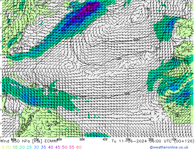 ветер 950 гПа ECMWF вт 11.06.2024 06 UTC