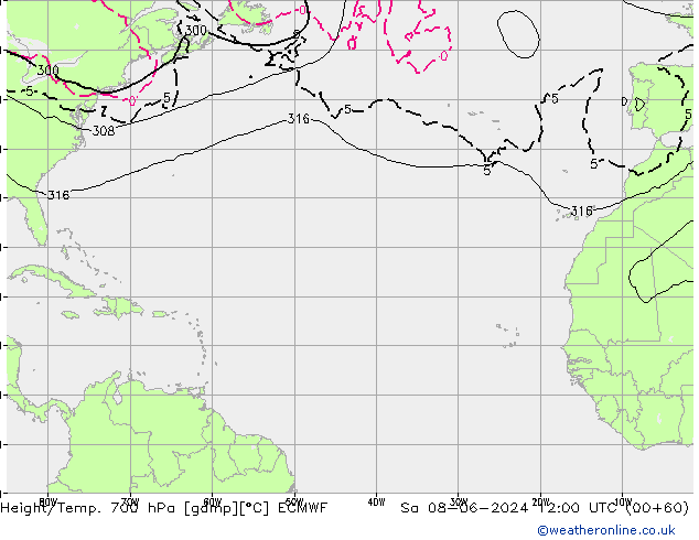 Height/Temp. 700 hPa ECMWF  08.06.2024 12 UTC